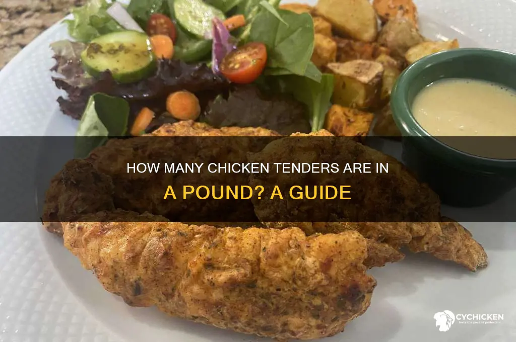 how many chicken tender in a pound