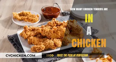 Chicken Tenders: How Many Can You Get From One Bird?