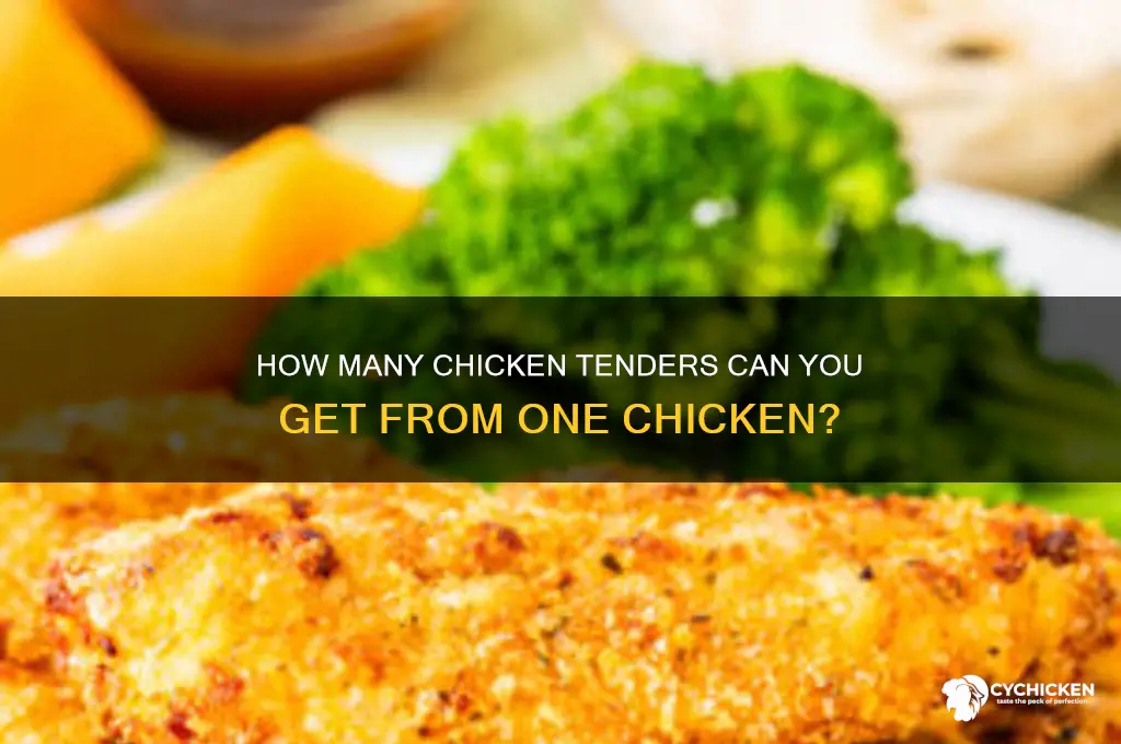 how many chicken tenders from 1 chicken