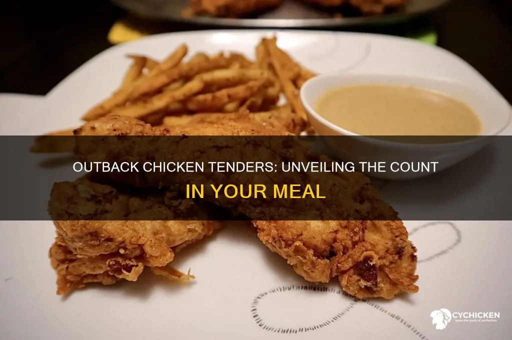 how many chicken tenders in outback meal