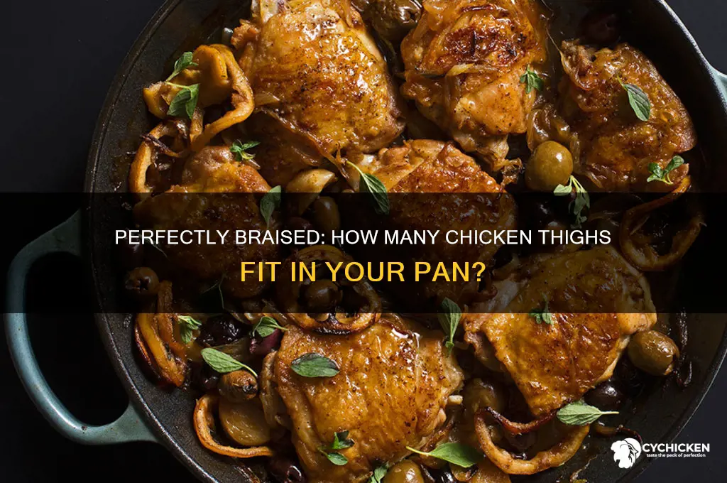 how many chicken thighs fits in a braiser pan