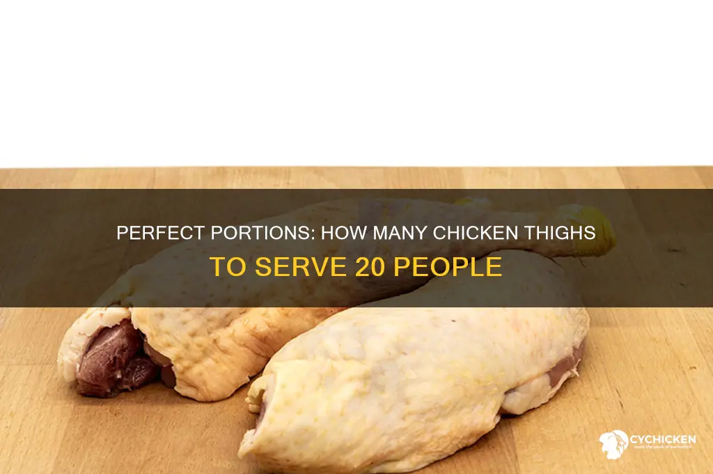 how many chicken thighs for 20 people