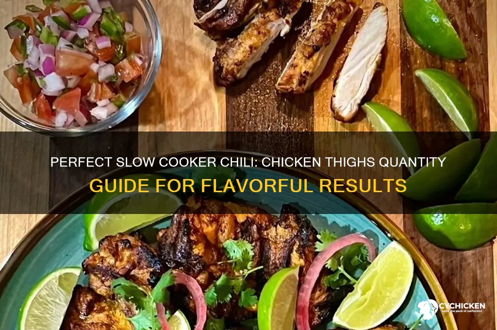 how many chicken thighs for slow cooker chili