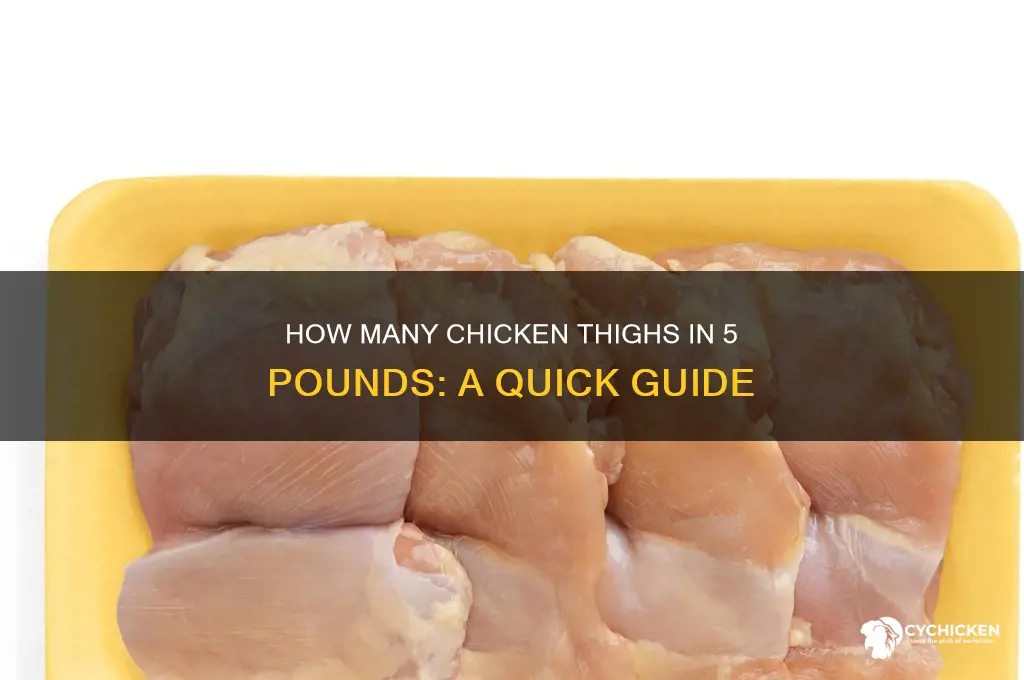 how many chicken thighs in 5 pounds