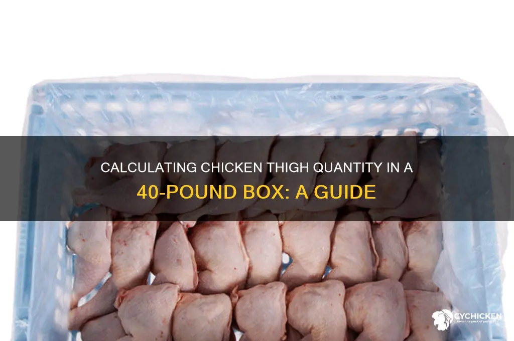 how many chicken thighs in a 40 pound box