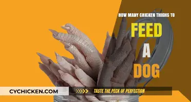 Feeding Your Dog Chicken Thighs: Portion Guide for Optimal Health