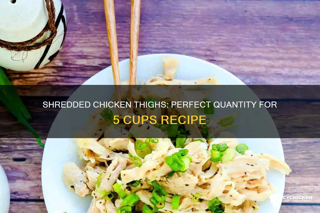 how many chicken thighs to make 5 cups shredded