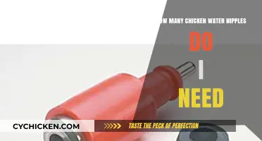 Sufficient Water Access: Chicken Water Nipple Quantity Guide