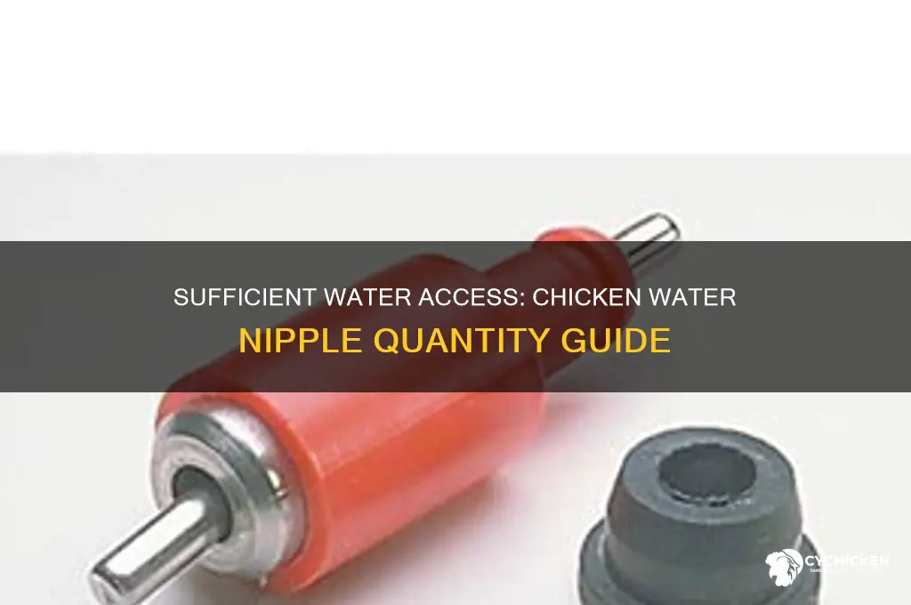 how many chicken water nipples do i need