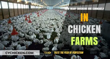 The Mystery of Chicken Farm Numbers