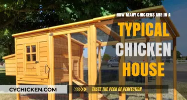 Chicken Houses: How Many Chickens Typically Live Together?