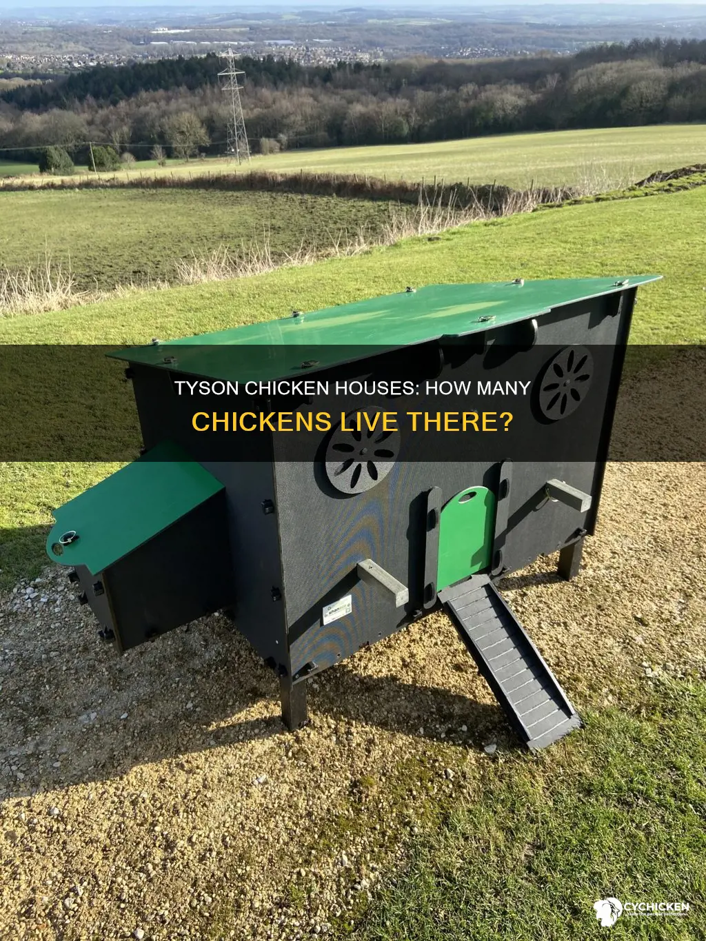 how many chickens are in a tyson chicken house