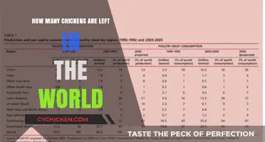 Global Chicken Population: How Many Chickens Remain Worldwide?