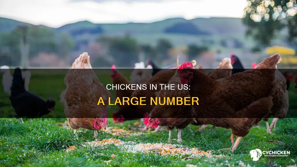 how many chickens are there in the united states