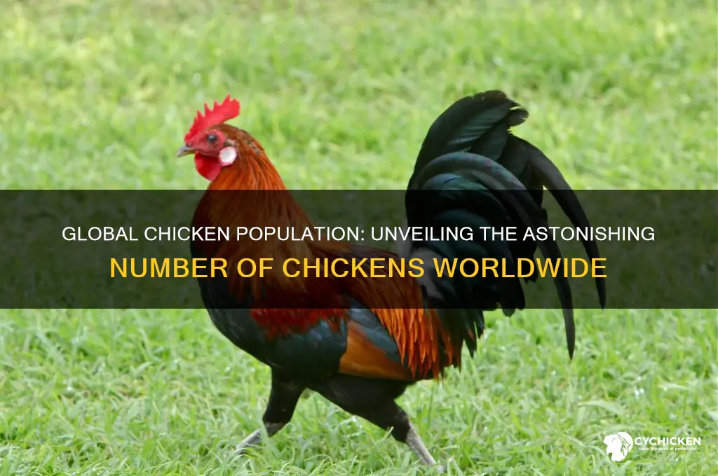 how many chickens are there in the world