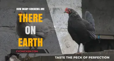 Clucking Around the Globe: Counting Earth's Chicken Population