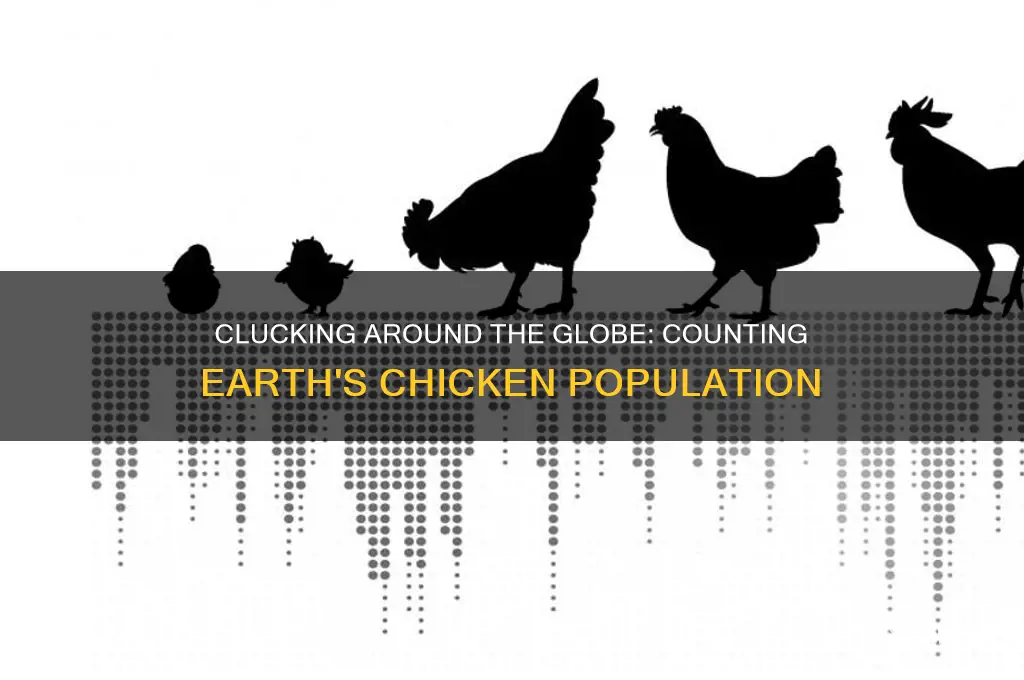 how many chickens are there on earth