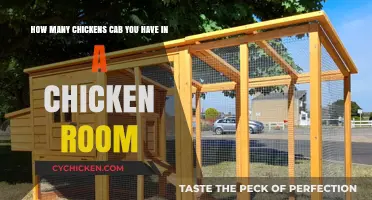 Spacious Chicken Coops: How Many Chickens Can You Keep?