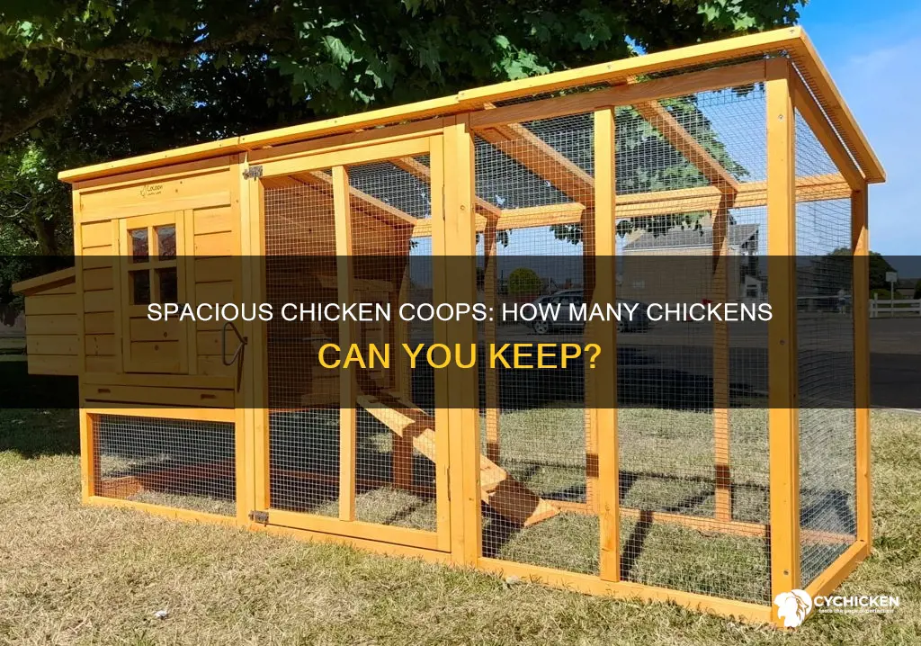 how many chickens cab you have in a chicken room