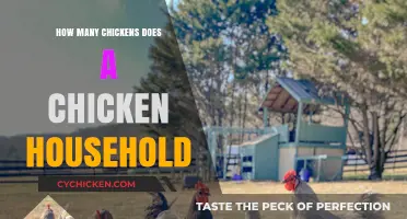 Determining the Ideal Number of Chickens for Your Household