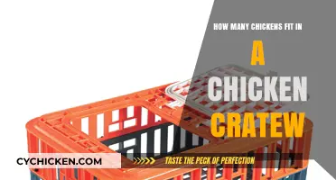 Chicken Crate Capacity: How Many Chickens Fit Comfortably?
