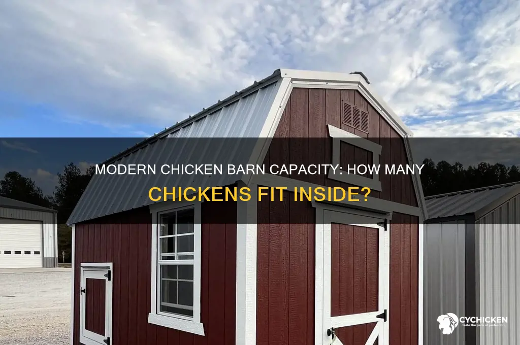 how many chickens in a chicken modernbarn