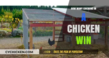 Understanding the Ideal Chicken Count for a Productive Chicken Coop Win