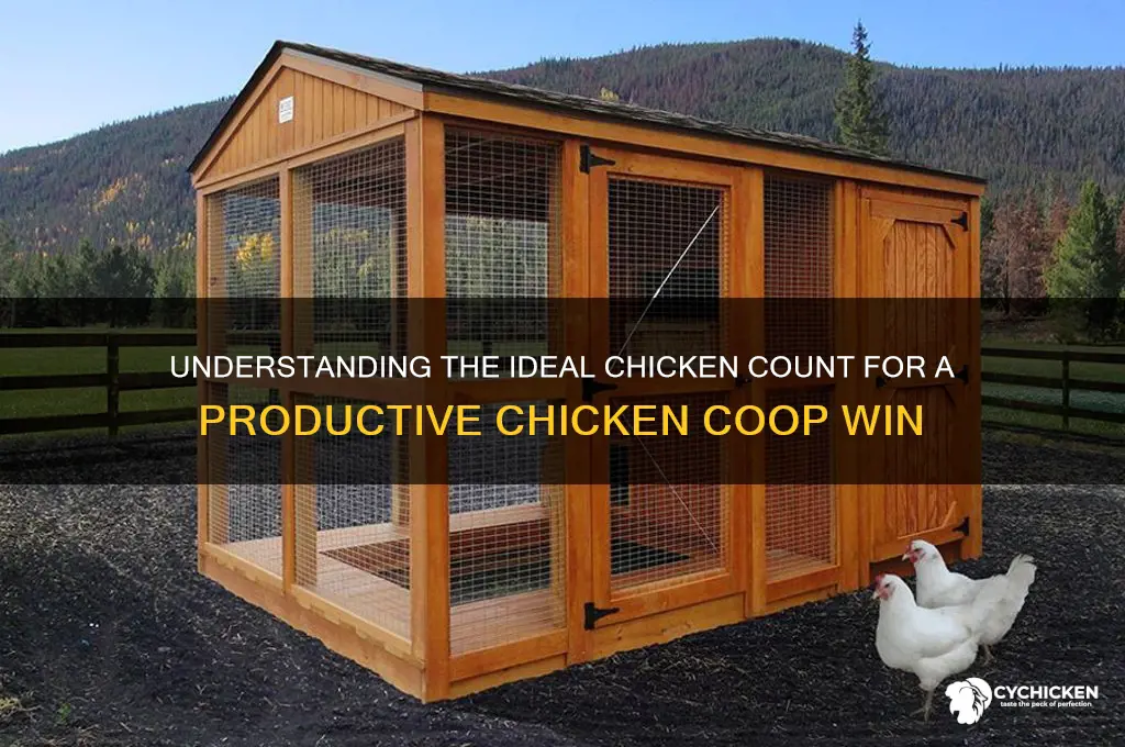 how many chickens in a chicken win
