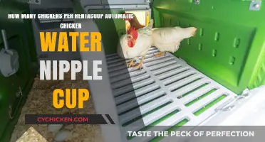 Rentacoop Chicken Water Nipple Cups: How Many Do You Need?
