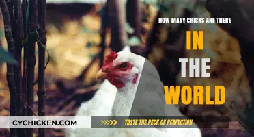 Chicks Worldwide: Counting the Numbers
