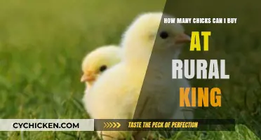 Buying Chicks at Rural King: How Many Should You Get?
