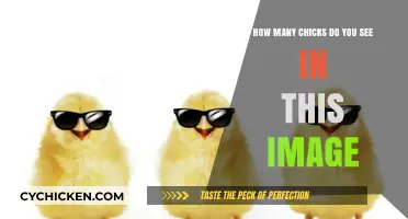 Chicks Count: Can You See Them All?