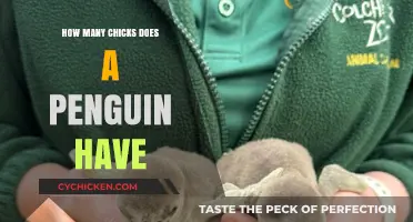 Penguin Parenting: Understanding the Average Number of Chicks Per Pair