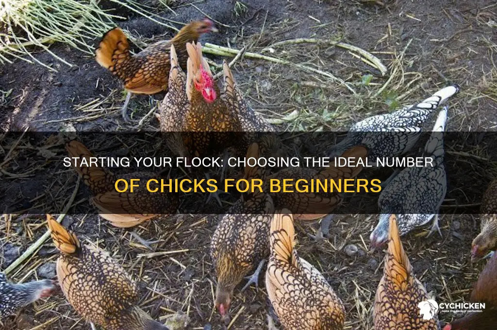how many chicks should i start with