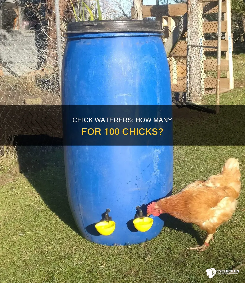 how many chik waterers do i need for 100 chicks