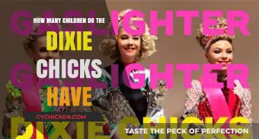 Dixie Chicks: Their Music and Motherhood