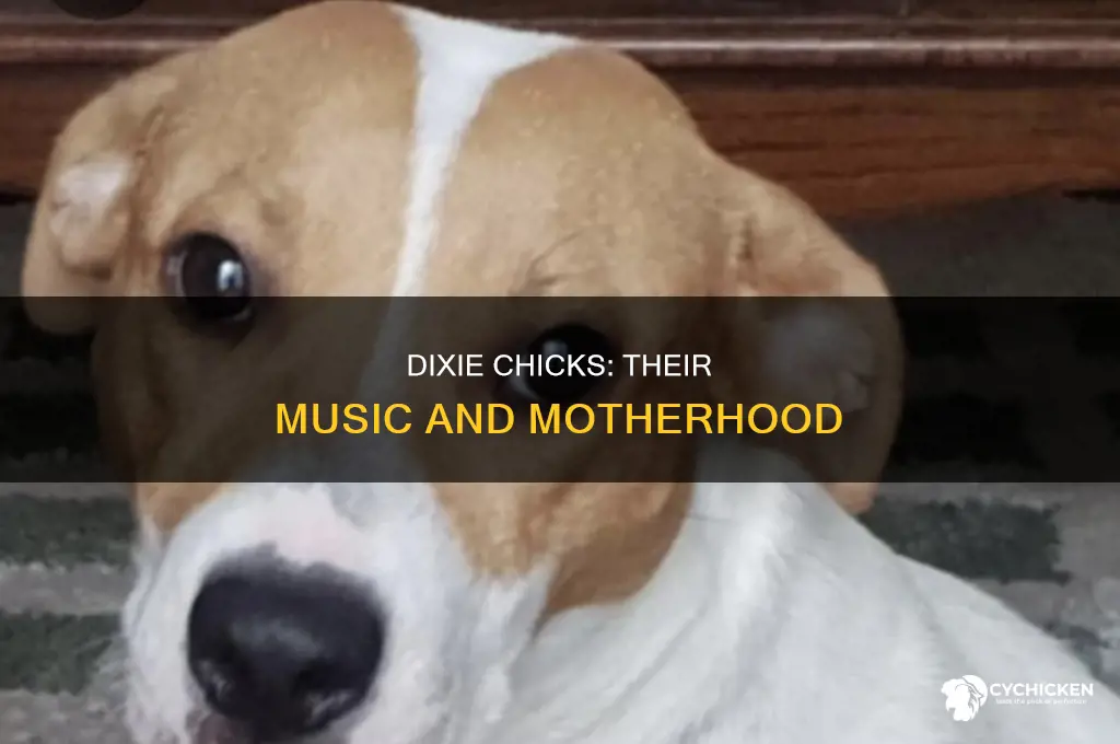 how many children do the dixie chicks have
