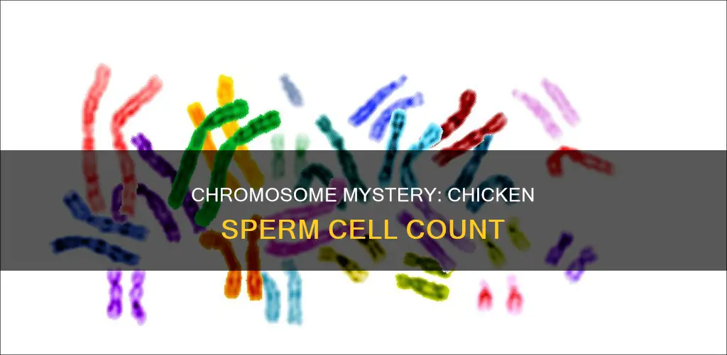 how many chromosomes does a chicken sperm cell have