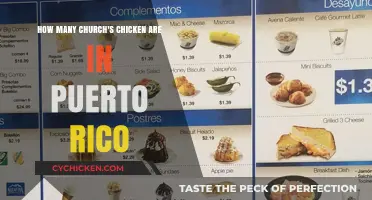 Church's Chicken: Rapid Expansion in Puerto Rico