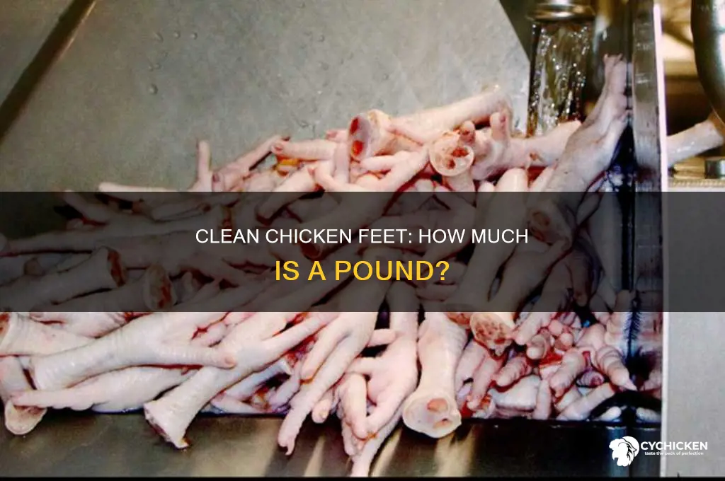 how many clean chicken feet in a pound