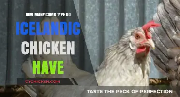 Icelandic Chickens: A Variety of Comb Types