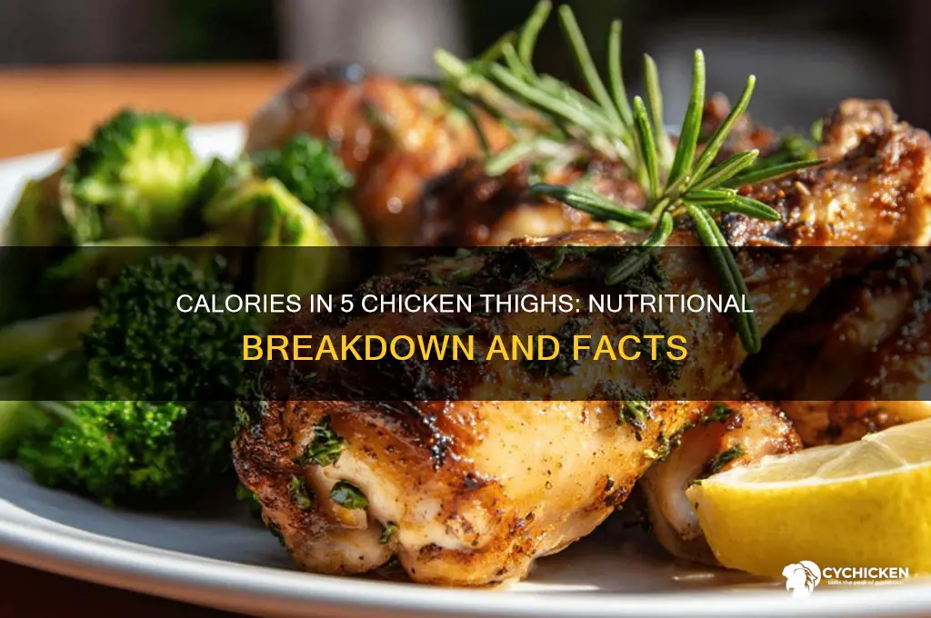 how many cqlories in 5 chicken thighs
