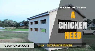 Space Needed: Chicken Coop Cubic Feet Requirements
