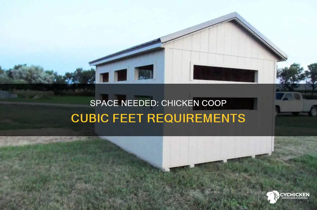 how many cubic feet does a chicken need