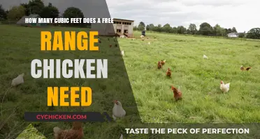 Space Needed for Free Range Chickens