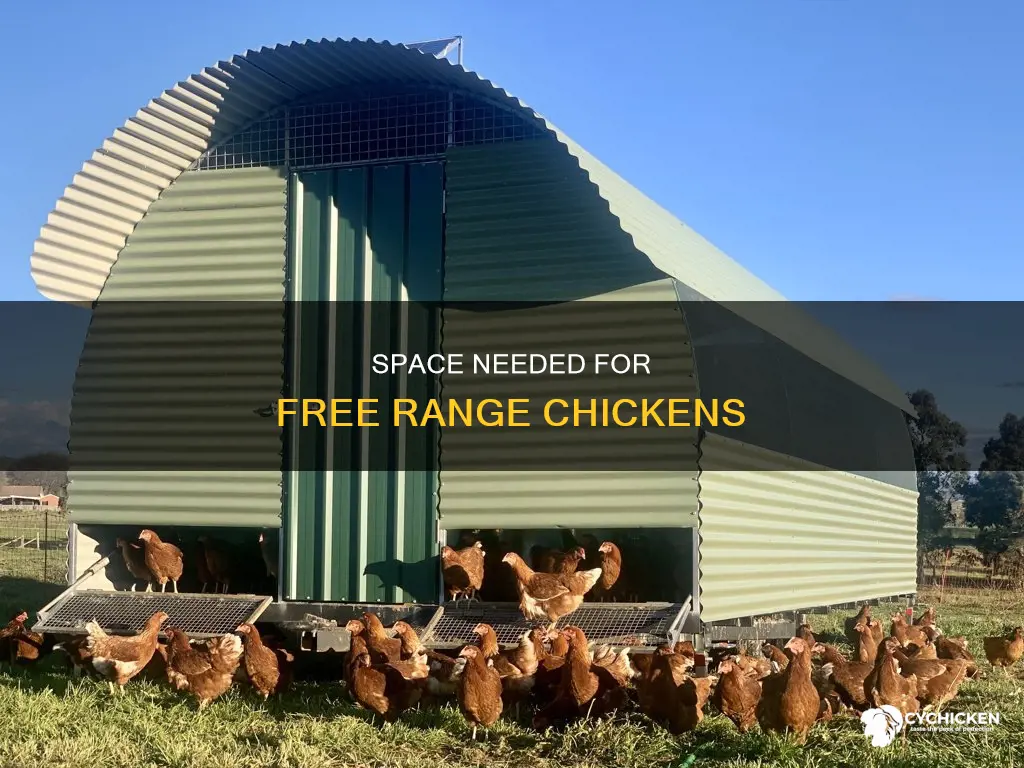 how many cubic feet does a free range chicken need