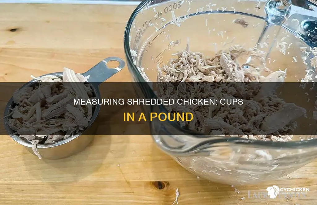 how many cups are in a lb of shreddee chicken