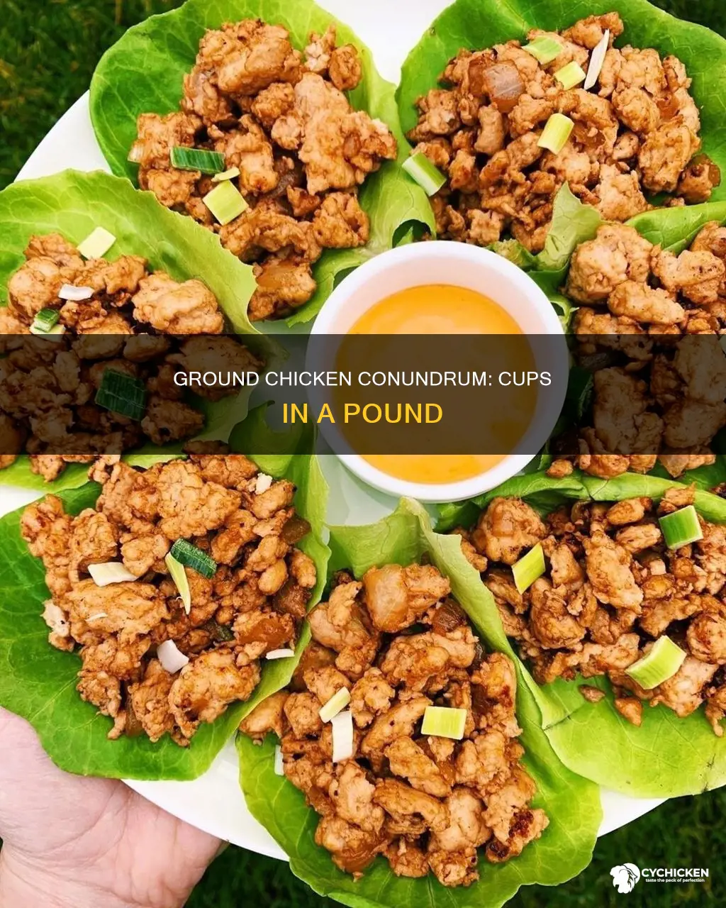 how many cups in a pound of ground chicken