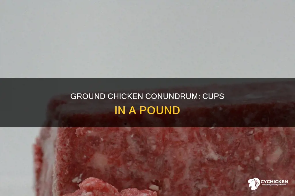 how many cups in pound of ground chicken
