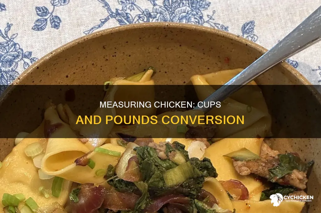 how many cups is 3 lbs of chicken